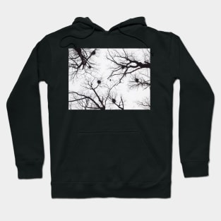 Forest Hoodie